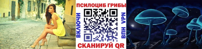 Псилоцибиновые грибы Psilocybine cubensis  наркошоп  Енисейск 
